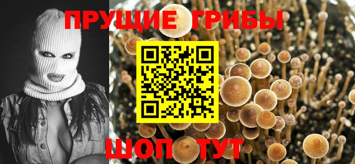 Псилоцибиновые грибы прущие грибы Дальнереченск